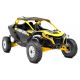 SSV Can-Am Maverick R X RS