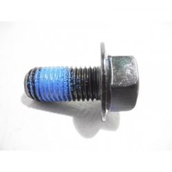 TRANSMISSION SHAFT SCREW 425