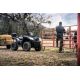 Brute Force 750 4x4i EPS