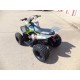 Quad Outlaw 110 EFI