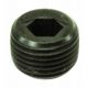 Drain plug