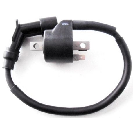 BOBINE HT COMPLETE