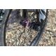 100% electric motorcycle TALARIA Sting 4000 Limited Edition V2 - 45ha 60V - Approved