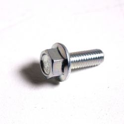 HEXA FLANGE SCREW M8X25