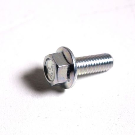 HEXA FLANGE SCREW M8X25