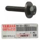 SCREW, WITH WASHER
