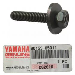 SCREW, WITH WASHER