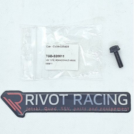 M6X20 HEXAGONAL HEAD SCREW