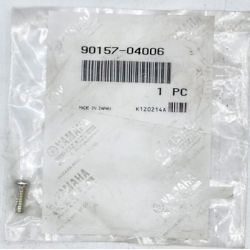 SCREW, TRUNCATED HEAD