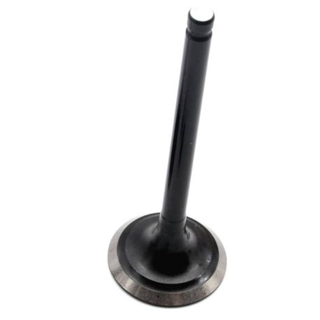 EXHAUST VALVE