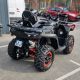 Quad Segway SNARLER AT10 L EPS Deluxe