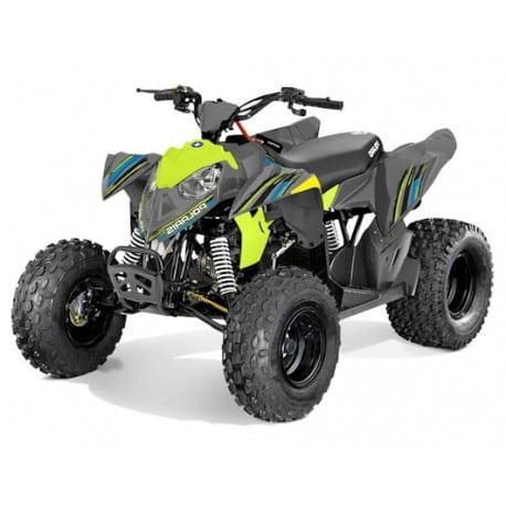 Quad Outlaw 110 EFI