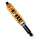 EVO TARGET IRS rear shock absorber