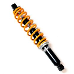 EVO TARGET IRS rear shock absorber