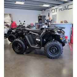 Quad Segway SNARLER AT5 S Standard EPS