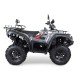 Quad TGBBlade 600 SE EPS