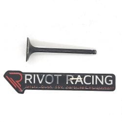 EXHAUST VALVE