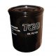 Oil filter for TGB quad
