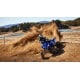 Quad Yamaha yzf 450 r