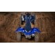 Quad Yamaha yfm 700-r-se