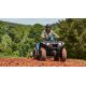 Quad Yamaha Kodiak 450 EPS SE