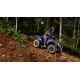 Quad Yamaha Kodiak 450 EPS SE