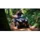 Quad Yamaha Kodiak 450 EPS SE