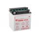 BS Battery for Quad