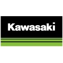 Kawasaki Quad