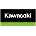 Quad Kawasaki