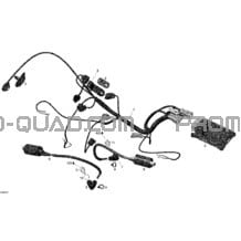 Câblage Moteur pour Can-am Toutes les cylindrées 2008 DS 450 X