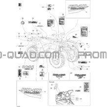 Décalques STD pour Can-am Toutes les cylindrées 2008 Outlander 400 STD