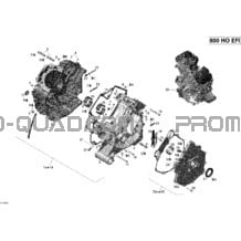 Carter pour Can-am Toutes les cylindrées 2008 Outlander 800 XT