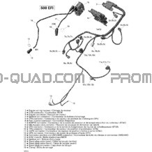 Câblage Moteur pour Can-am Toutes les cylindrées 2009 Outlander 500 EFI