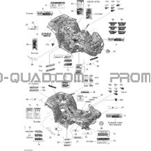 Décalques STD pour Can-am Toutes les cylindrées 2009 Outlander Max 800R EFI