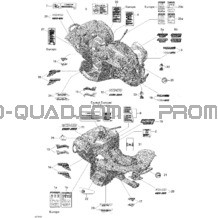 Décalques 500 pour Can-am Toutes les cylindrées 2009 Renegade 500