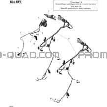 Câblage Moteur Et Module Électronique pour Can-am Toutes les cylindrées 2010 Outlander 650 EFI