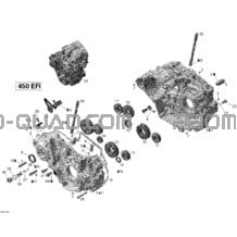 Carter pour Can-am Toutes les cylindrées 2011 DS 450 Xxc