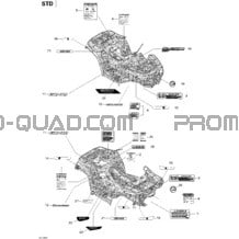 Décalques STD pour Can-am Toutes les cylindrées 2012 P