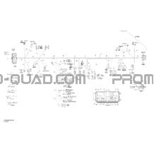 Câblage Principal Europe XT pour Can-am Toutes les cylindrées 2012 P