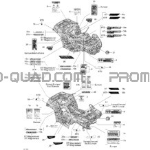 Décalques pour Can-am Toutes les cylindrées 2012 P