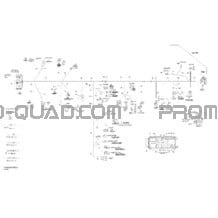 Câblage Principal Europe XT pour Can-am Toutes les cylindrées 2012 P