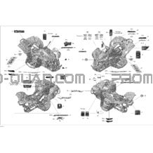 Décalques pour Can-am Toutes les cylindrées 2012 Renegade STD