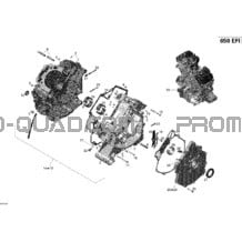 Carter pour Can-am Toutes les cylindrées 2013 Outlander 650EFI XMR