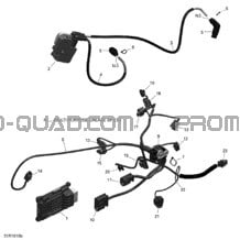 Câblage Moteur et Module Électronique - 650 EFI (Ensemble PRO) pour Can-am Toutes les cylindrées 2016 650 EFI