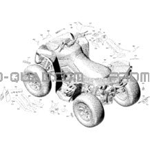 Décalques Renegade pour Can-am Toutes les cylindrées 2018 Renegade 850 EFI