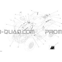 Décalques STD pour Can-am Toutes les cylindrées 2019 Renegade 850 EFI