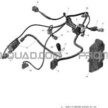 Câblage Moteur Et Module Électronique - 450 EFI - T3 et International pour Can-am Toutes les cylindrées 2019 Outlander 450 EFI - T3