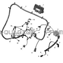 Câblage Moteur Et Module Électronique pour Can-am Toutes les cylindrées 2020 Maverick Sport 1000R - T Regulation