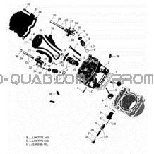 Rotax - Culasse pour Can-am Toutes les cylindrées 2021 Traxter T HD5 - BASE - T Regulation